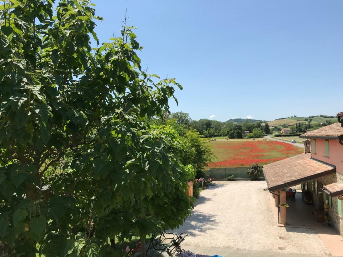 Tra I Campi Di Papaveri Medesano Exterior photo